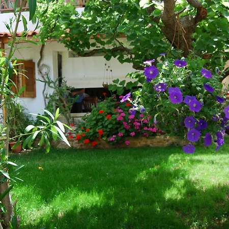 Golden Sun Apartament