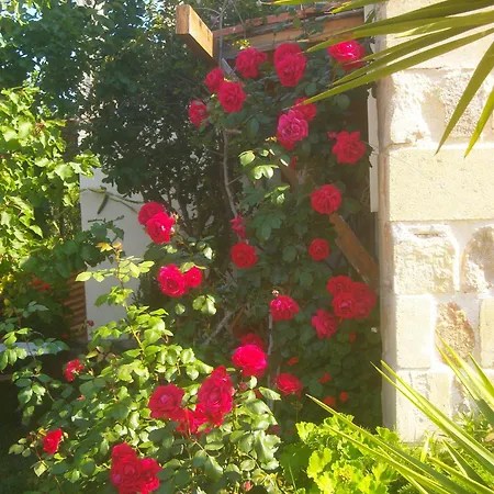 Golden Sun Daire Falasarna